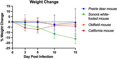 SARS-CoV-2 infects multiple species of North American deer mice and causes clinical disease in the California mouse